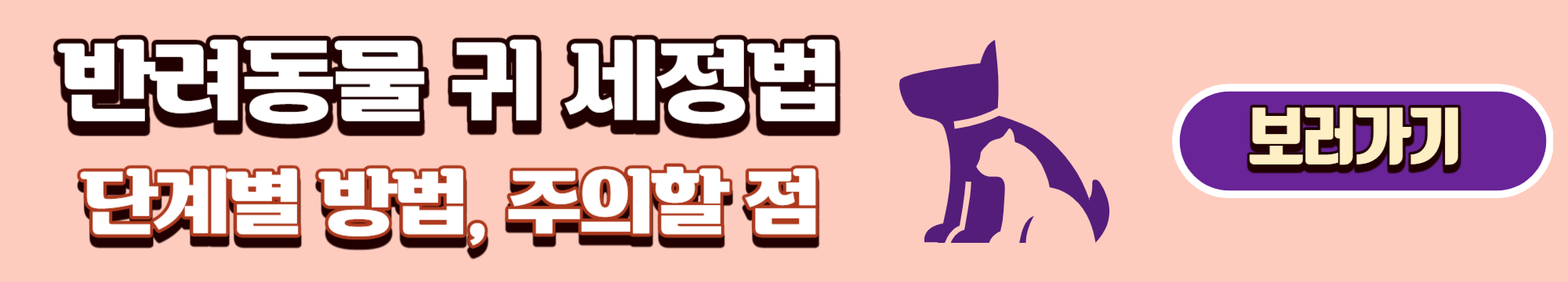 귀 세정 귀청소 외이염