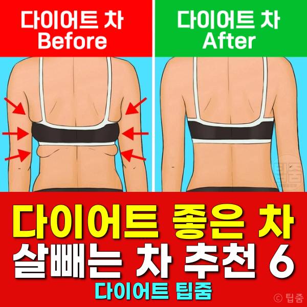 다이어트에 좋은 차 살빼는차 다이어트차 추천