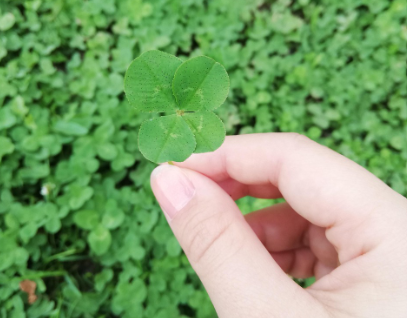 대운이란 무엇인가요 인생 흐름 읽는 법