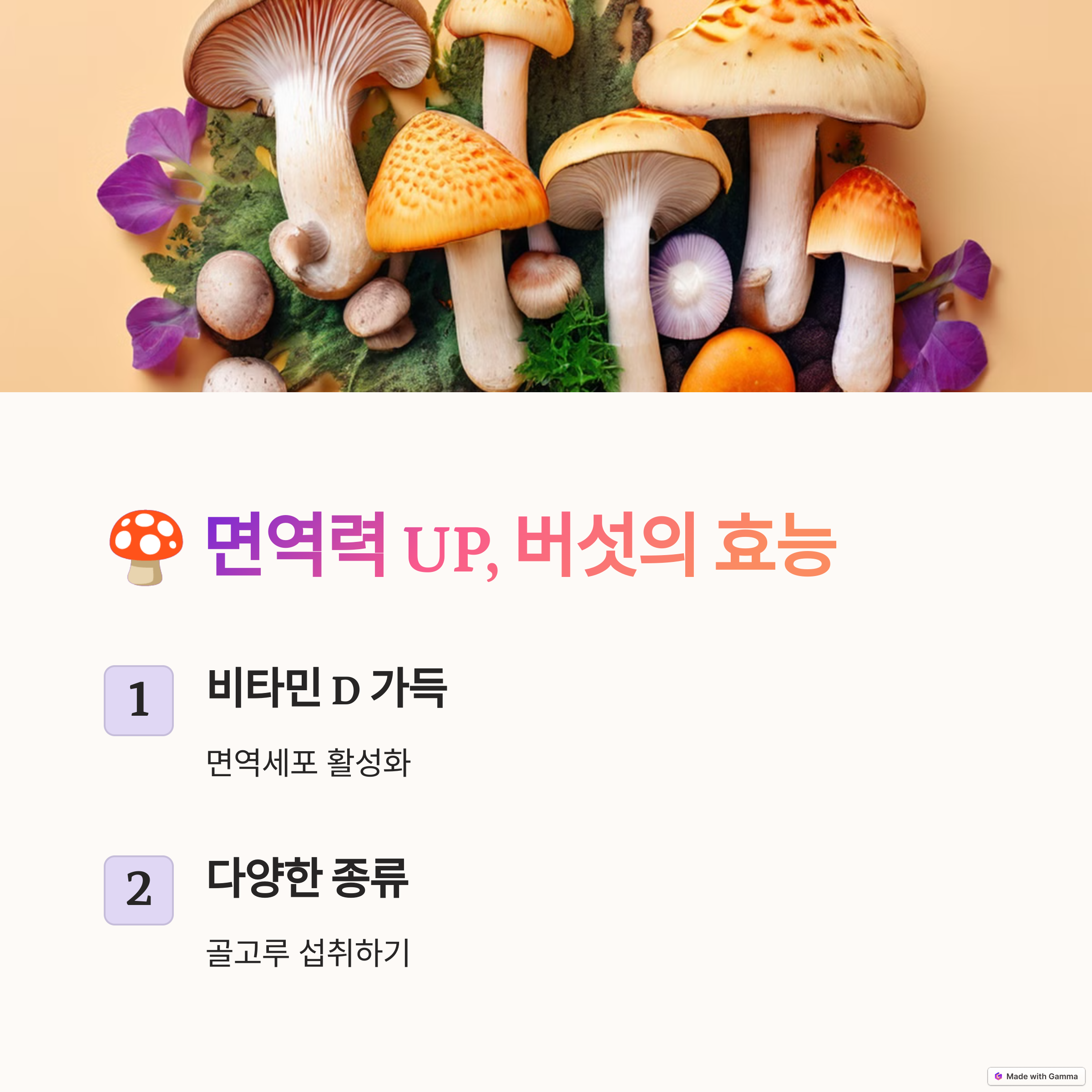 버섯의 효능 관련 이미지