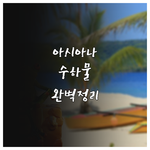 아시아나항공 위탁 수하물 허용량 노선..