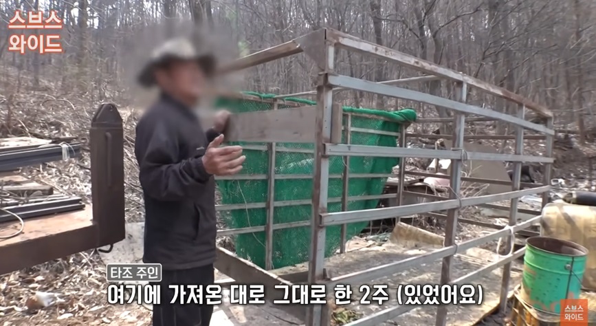 타조 탈출 사건 설명