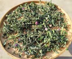 데쳐서 말려 보관 가능