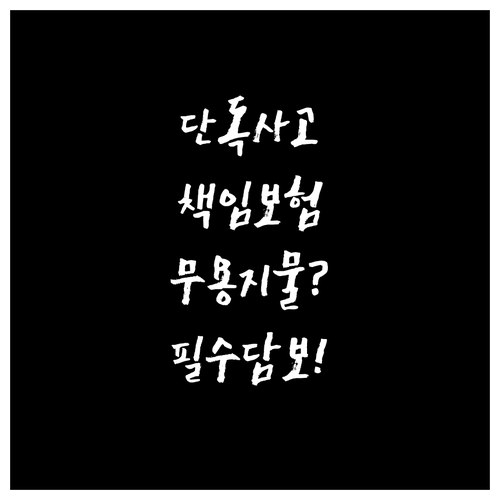 단독사고 땐 책임보험 무용지물, 필수..