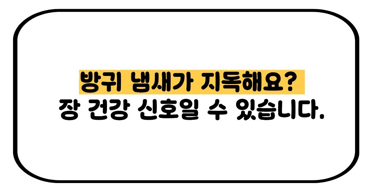 방귀 냄새가 지독해요