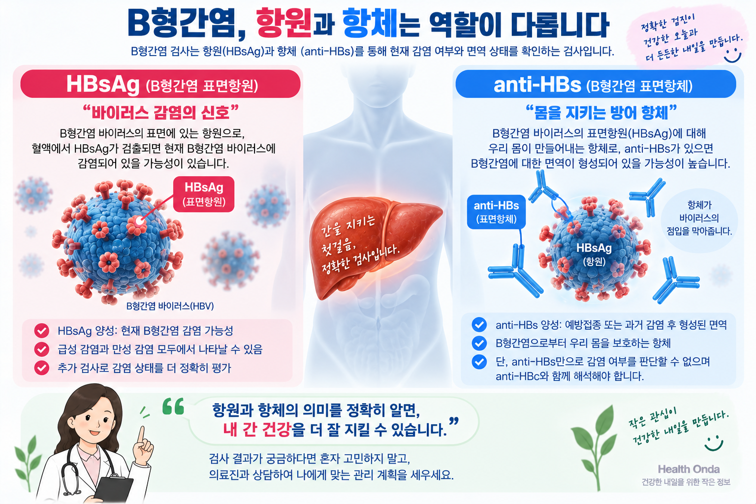 B형간염 표면항원 HBsAg와 표면항체 anti-HBs의 역할 비교