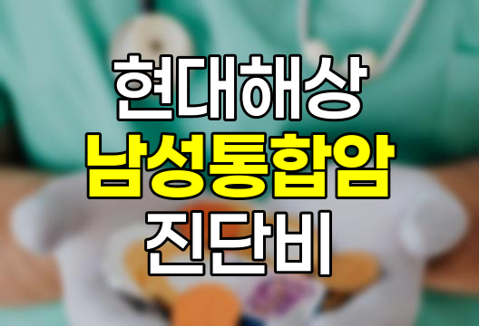 현대해상 남성통합암(전이포함)진단비 보험 상세 분석