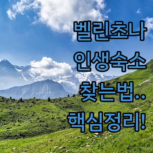 스위스 벨린초나 숙소 중 인생 숙소를..