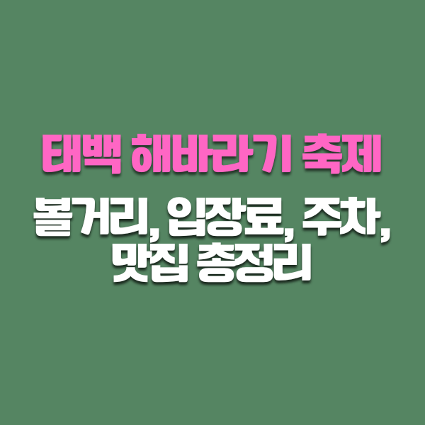 태백 해바라기 축제 볼거리, 입장료, 주차, 맛집 총정리