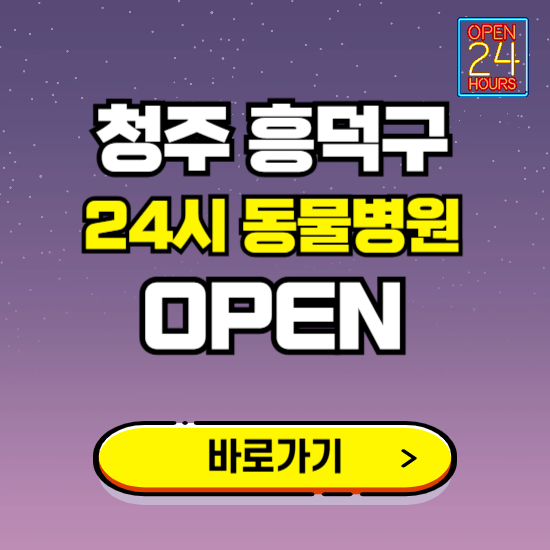 청주시 흥덕구 24시 동물병원 진료하는 곳 ❘ 설날 휴일 야간 심야 문여는곳 찾기 ❘ 응급진료