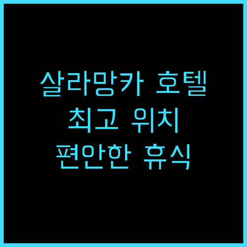 빈치 시우다드 데 살라망카 추천 후기..