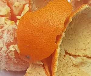 귤껍질1
