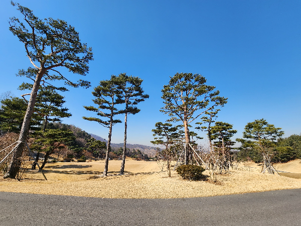 회원제-골프장-서서울CC-조경