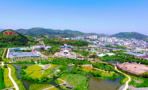 함평나비축제1