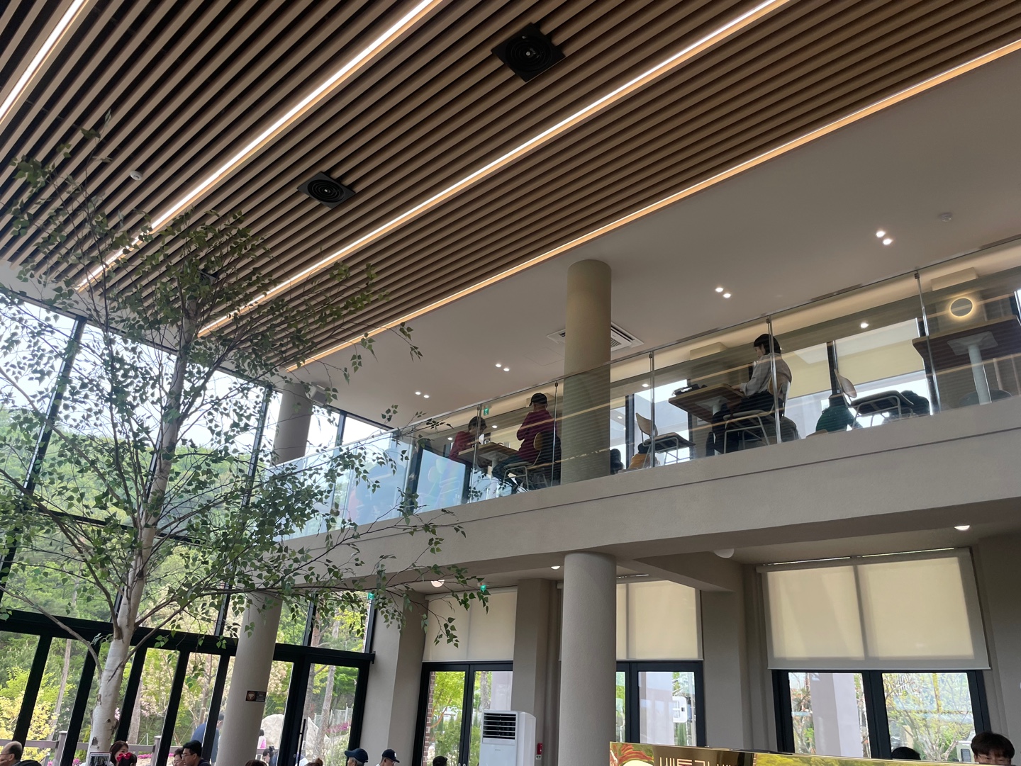 용인 자작나무숲 베툴라 대형 베이커피 카페