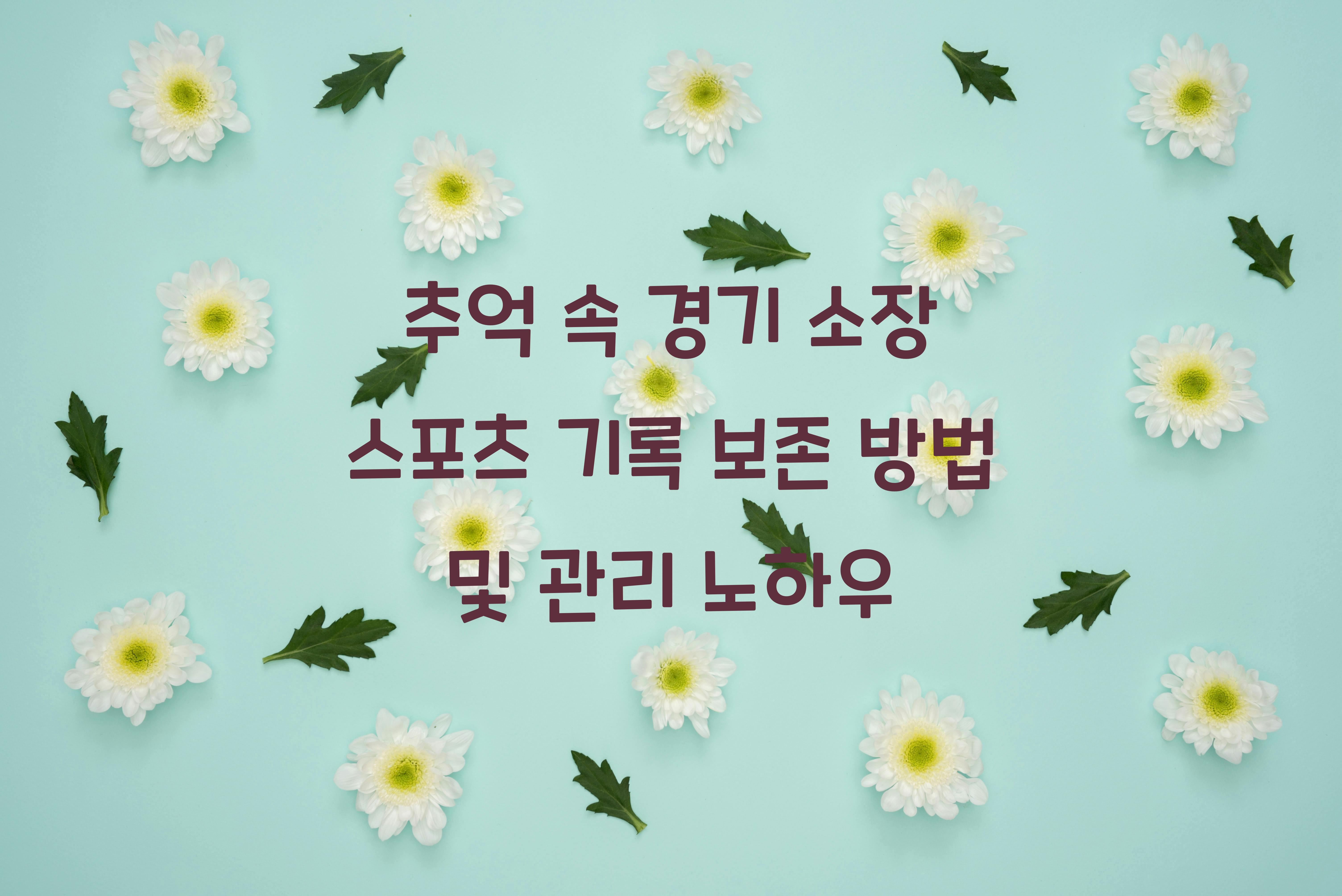 스포츠 기록 보존 방법