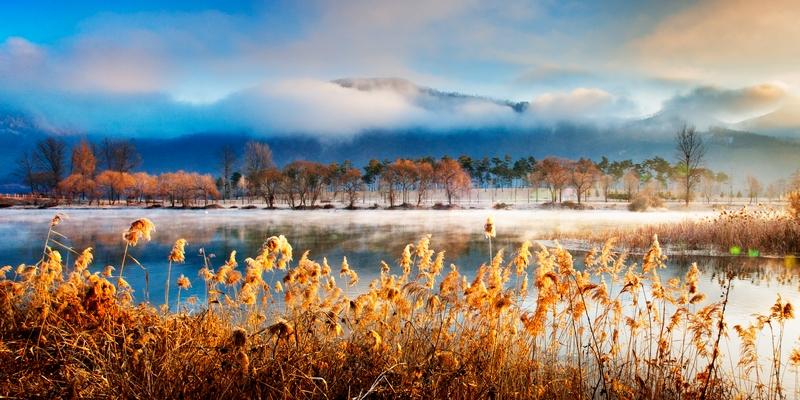 캠핑의 성지, 자라섬캠핑장 소개