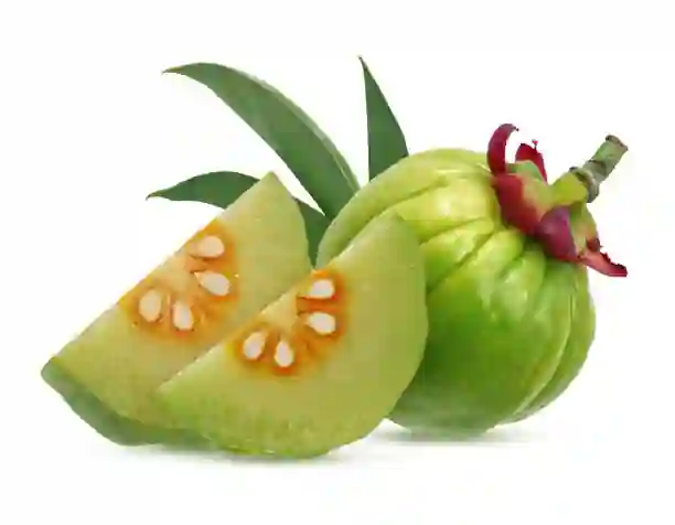 가르시니아 열매