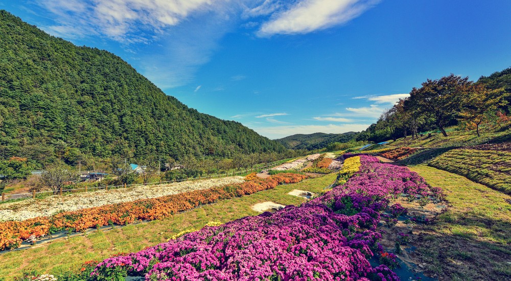 삼척-가볼만한곳
