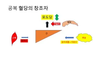 공복혈당 정상수치를 확인_12