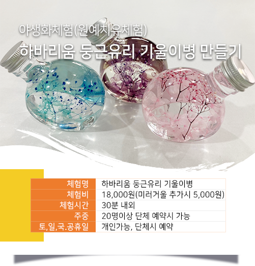 하비리움 둥근유리 기울이병 