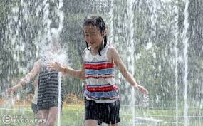 여름 면역 관리 체크리스트를 작성해 봅시다