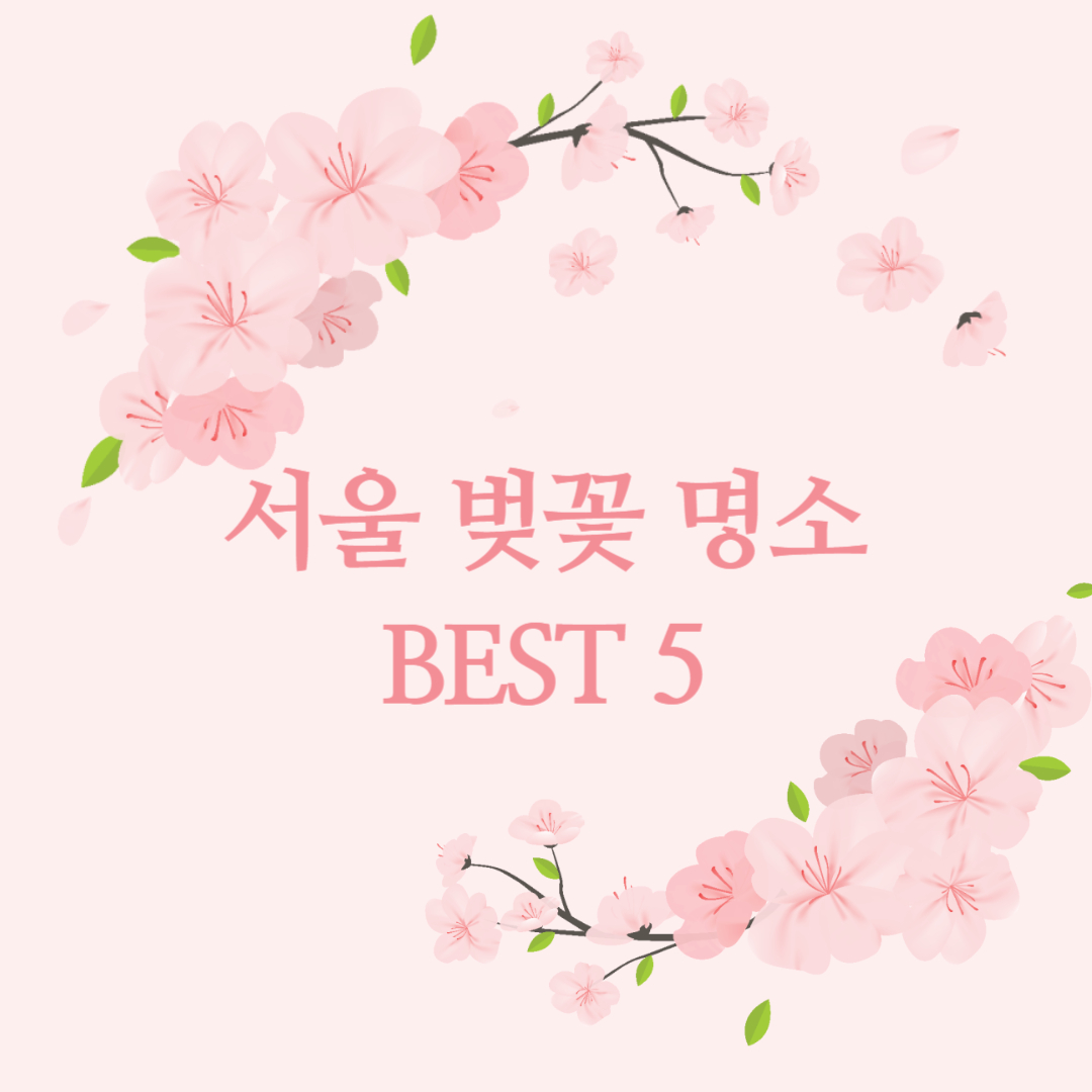 서울 벚꽃 명소 BEST5