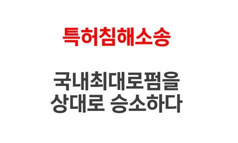 특허침해소송