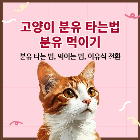 고양이 분유 타는법