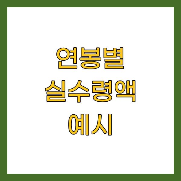 연봉별 실수령액 예시
