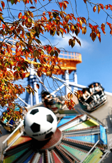 서울랜드-놀이기구-이미지