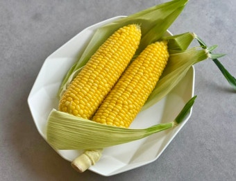 초당옥수수란? 유명 산지(의령&amp;#44; 밀양 등)