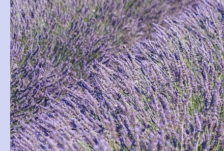 6월 국내 여행지 추천