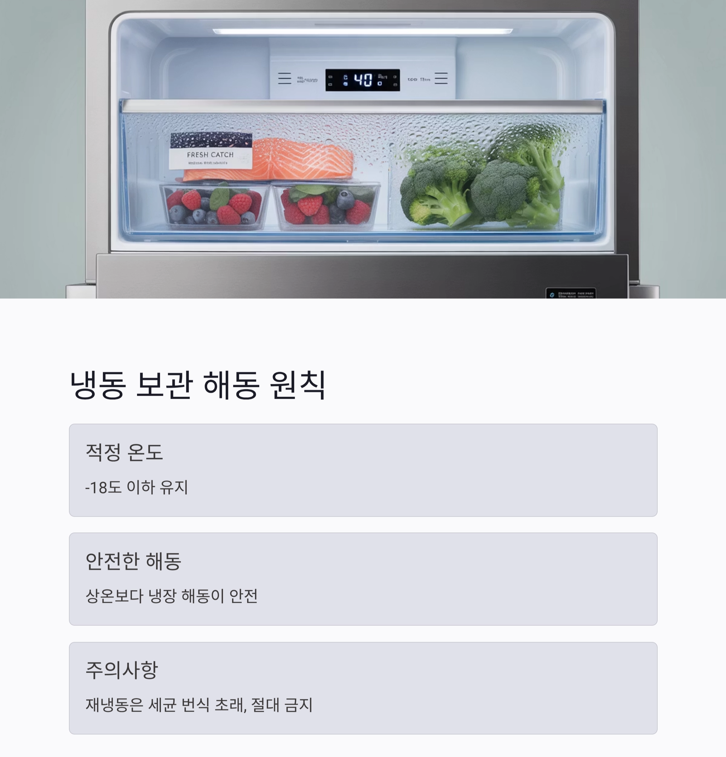 식중독 막는 똑똑한 음식 보관 기준 완벽 가이드