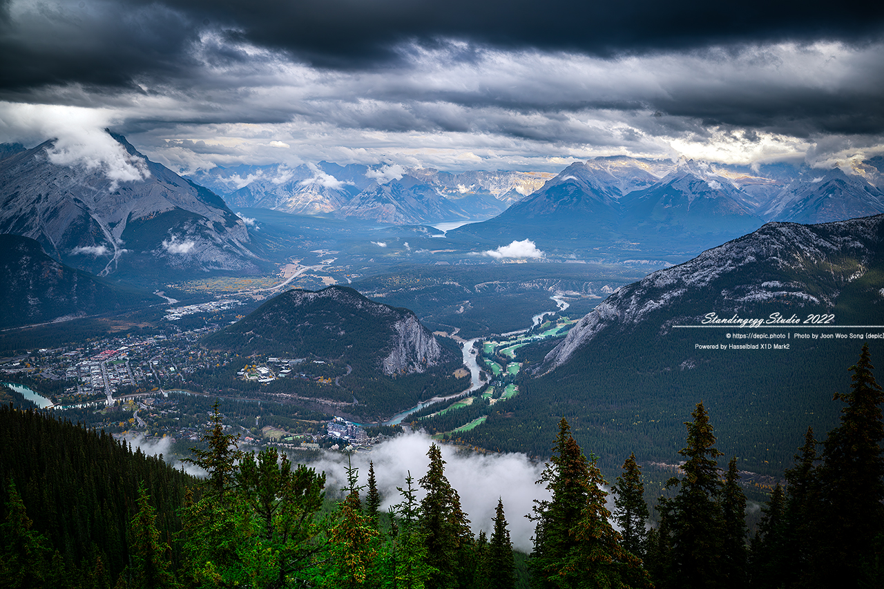 #캐나다 #로키 #산맥 #숲 #캐나다여행