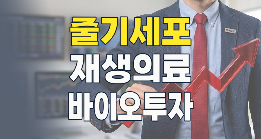 2026년 줄기세포 투자, 미래 의학의 핵심을 잡는 전략과 핵심 종목 분석