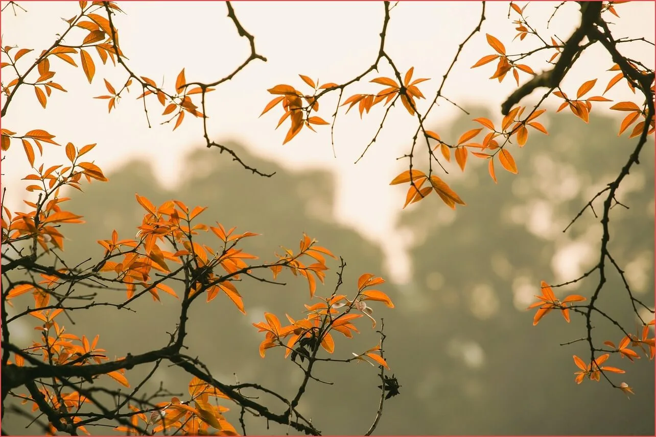 농협 정기예금 금리