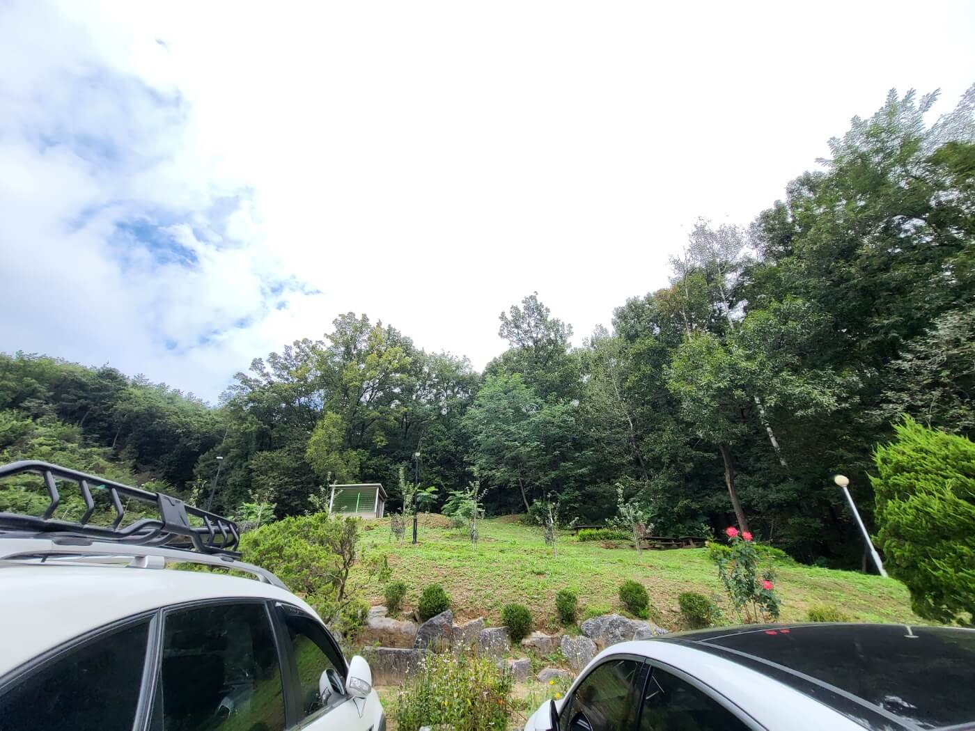 주차창 널은 흑두부 달맞이