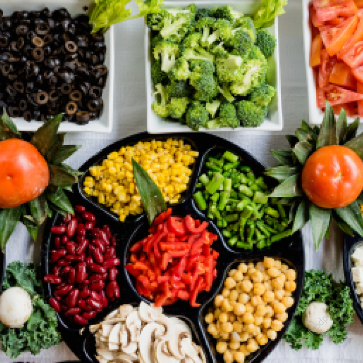 식물성 단백질 종류