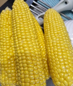 에코옥수수