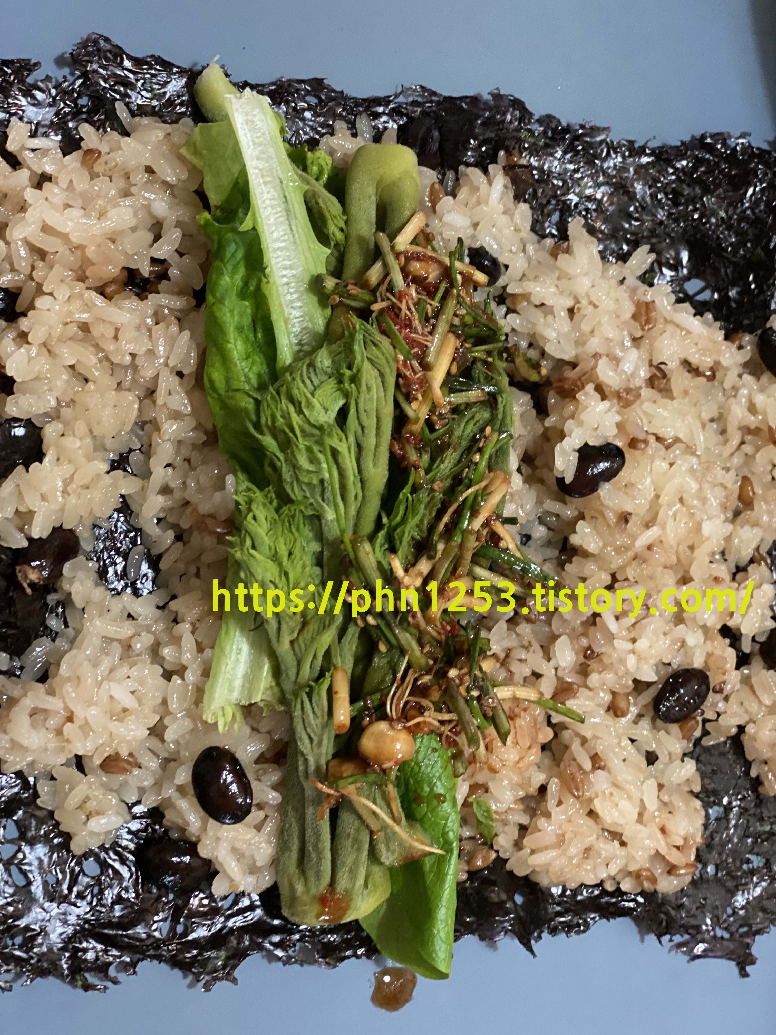 Alt 속성 문제 해결 설명 이미지