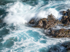 편도선이 붓는 이유