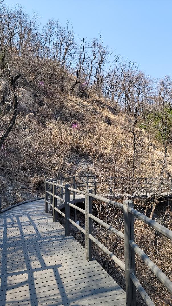 안산 자락길 무장애 조성길 사진