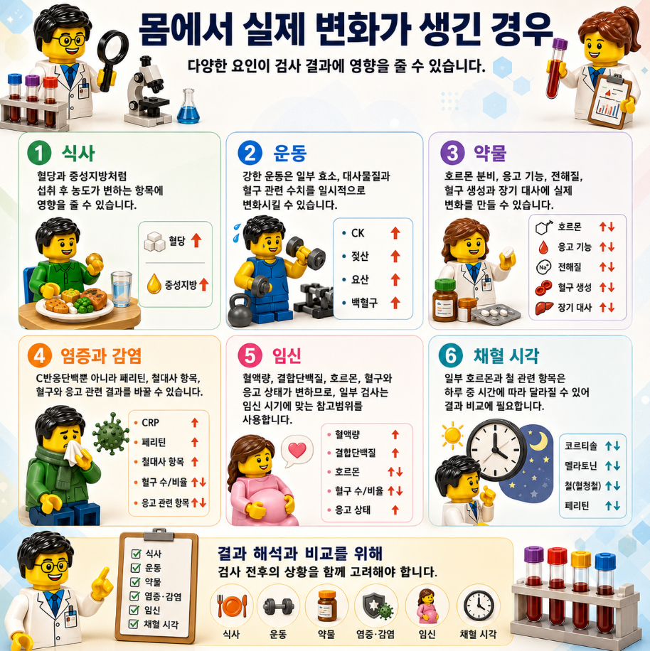 식사, 운동, 약물, 염증, 임신, 채혈 시각 등 검사 결과에 영향을 주는 요인을 설명한 레고 스타일 메디컬 인포그래픽