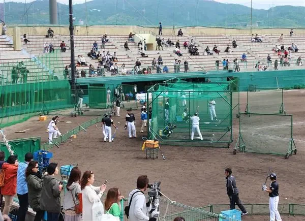 프로야구 캠프