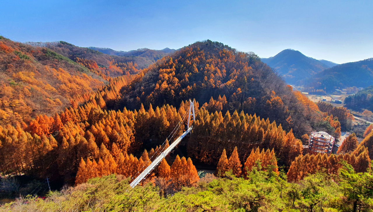 장태산 자연휴양림의 아름다움