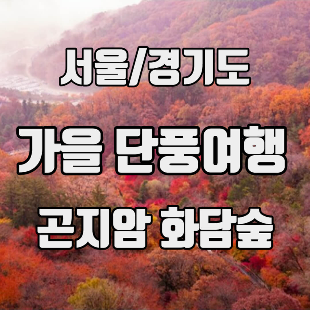 광주 화담숲