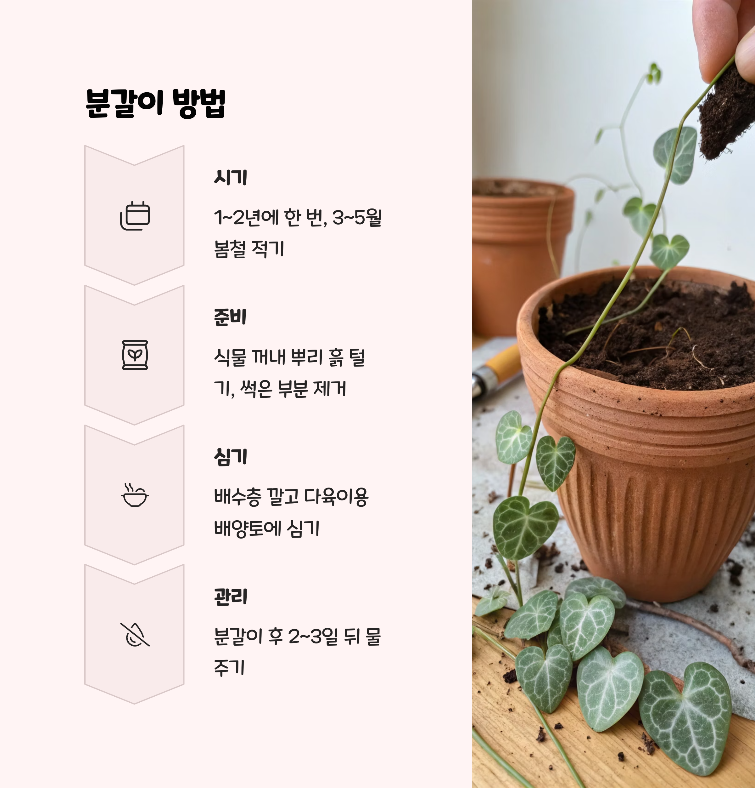 러브체인 분갈이법