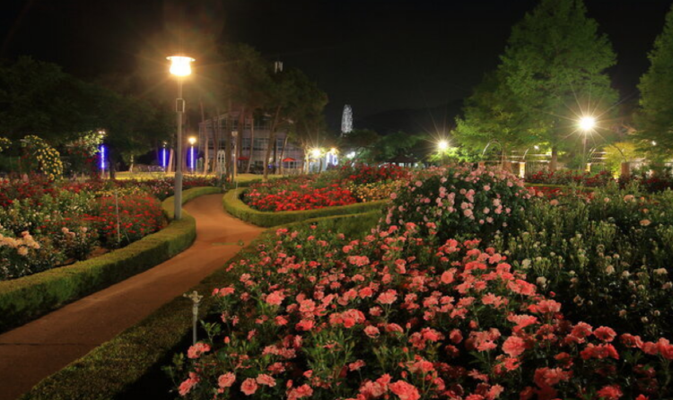 곡성 세계장미축제