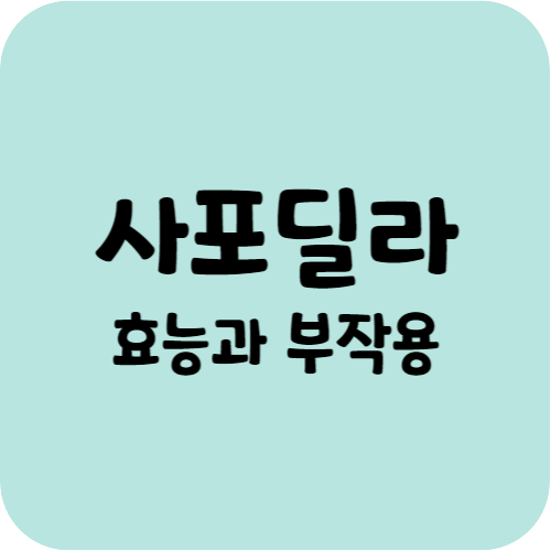 사포딜라의 효능과 부작용